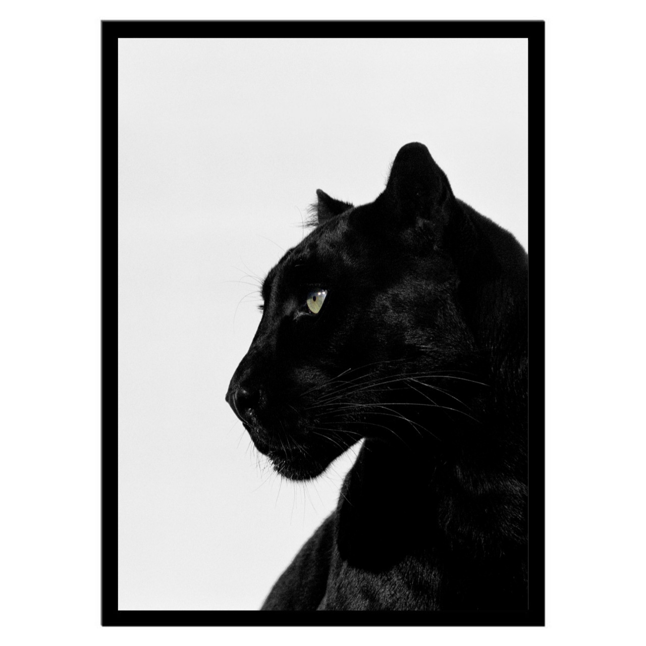  تابلو عکس سیاه و سفید کد 3024 