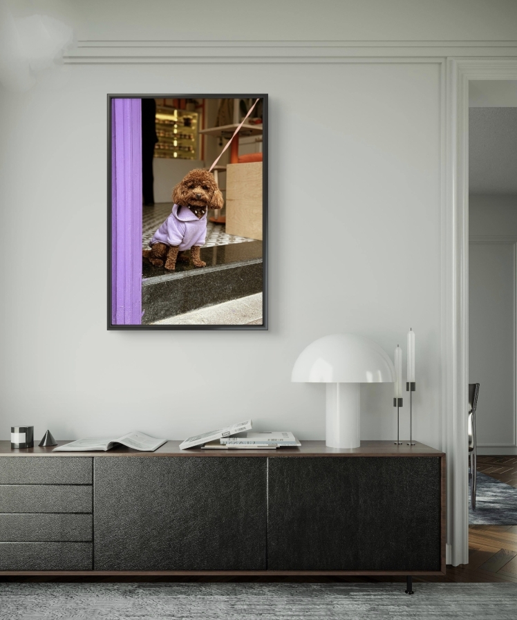 تابلو عکس جانوران کد 2829