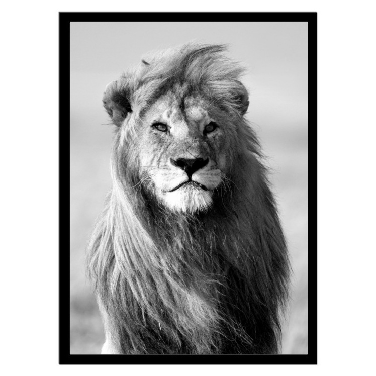 تابلو عکس سیاه و سفید کد 3023