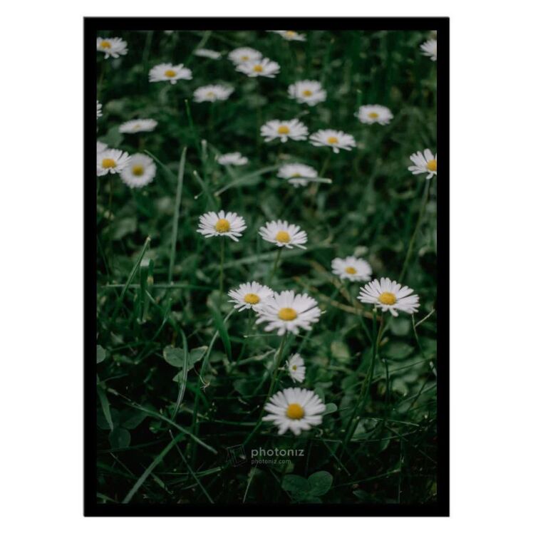 تابلو عکس گل و گیاه کد 2559