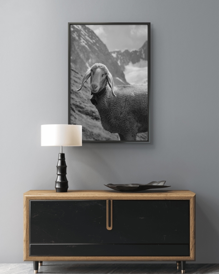 تابلو عکس جانوران کد 2833