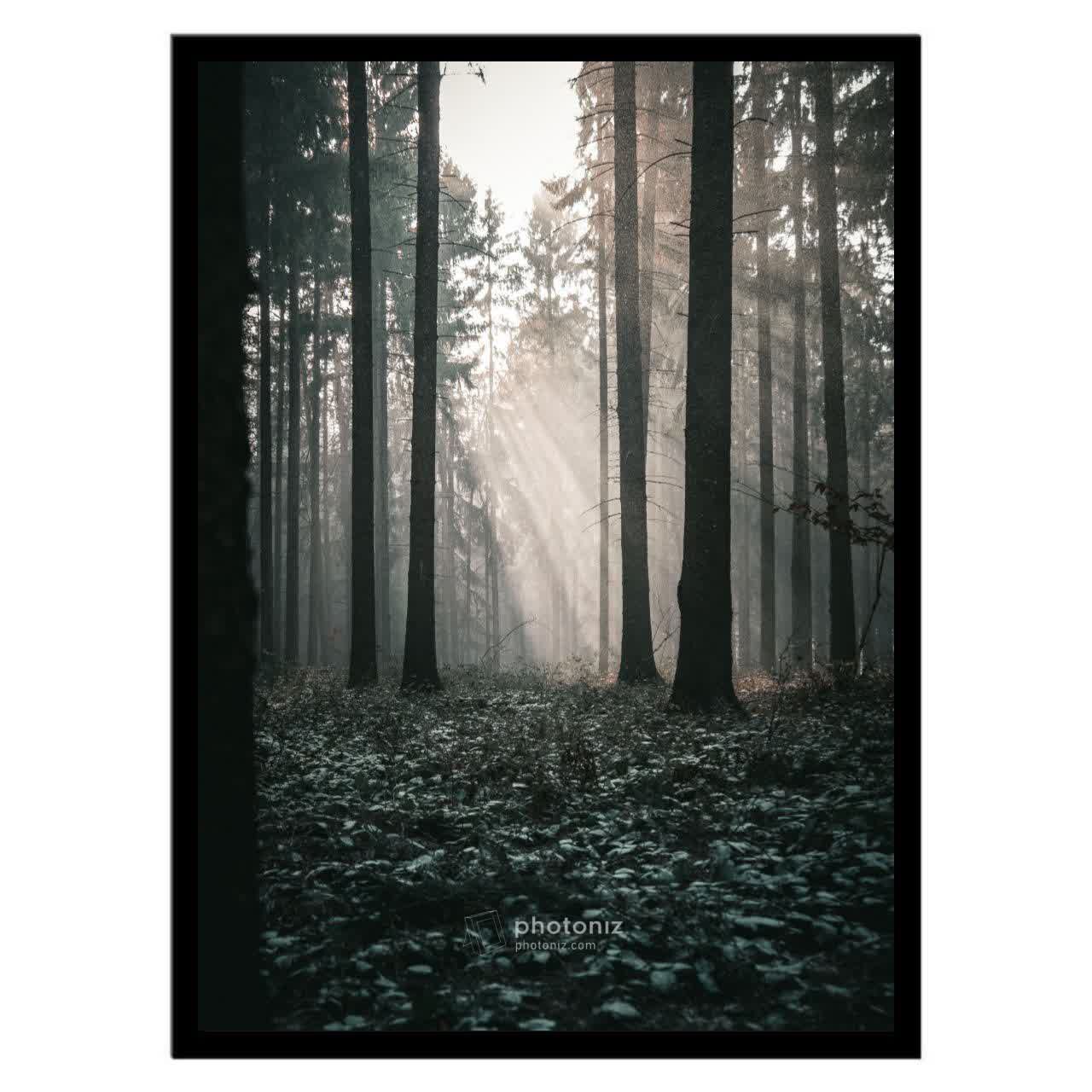 تابلو عکس منظره و طبیعت کد 2769