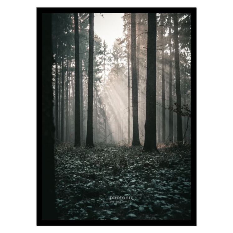 تابلو عکس منظره و طبیعت کد 2769