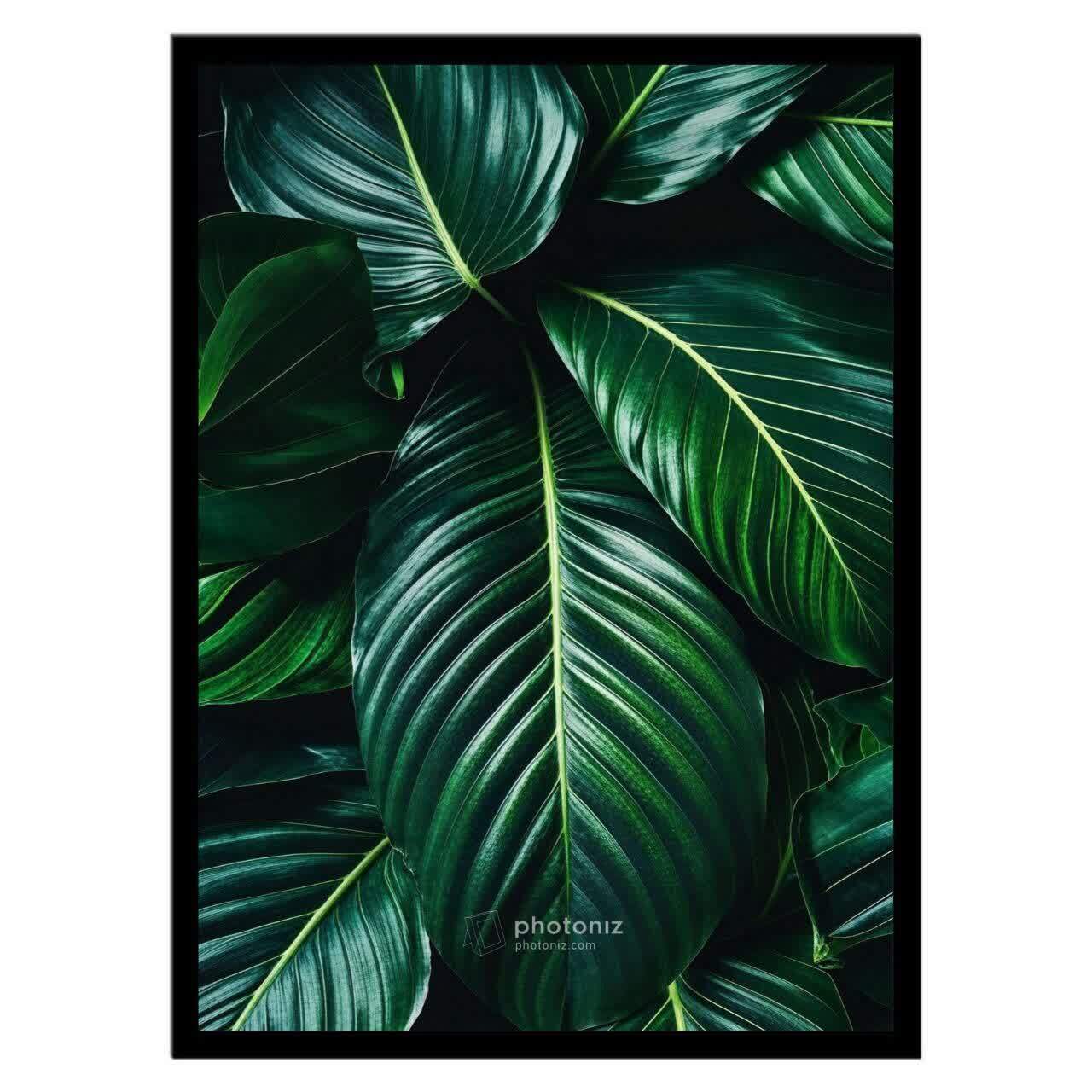  تابلو عکس گل و گیاه کد 2819 