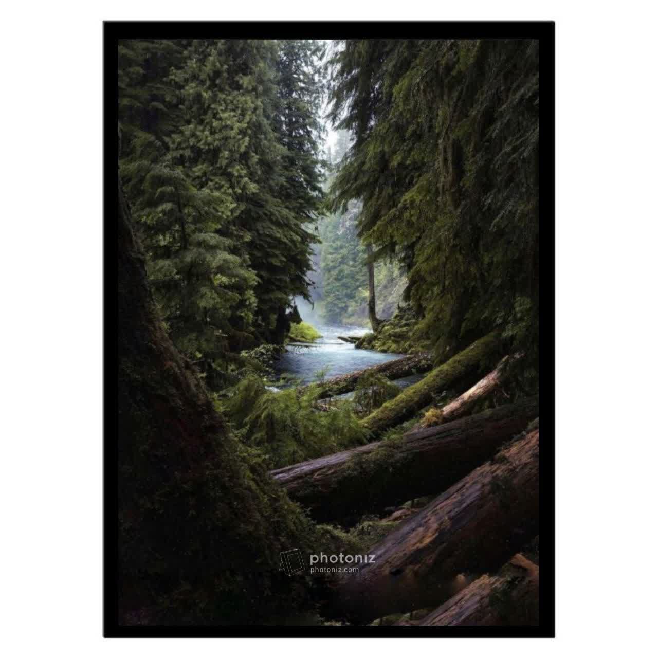  تابلو عکس منظره و طبیعت کد 2765 