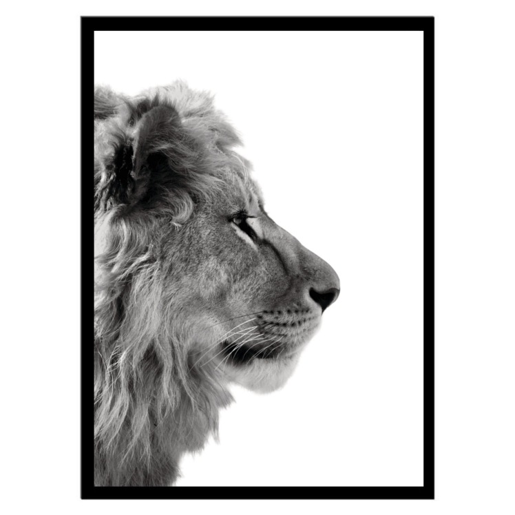 تابلو عکس سیاه و سفید کد 3028