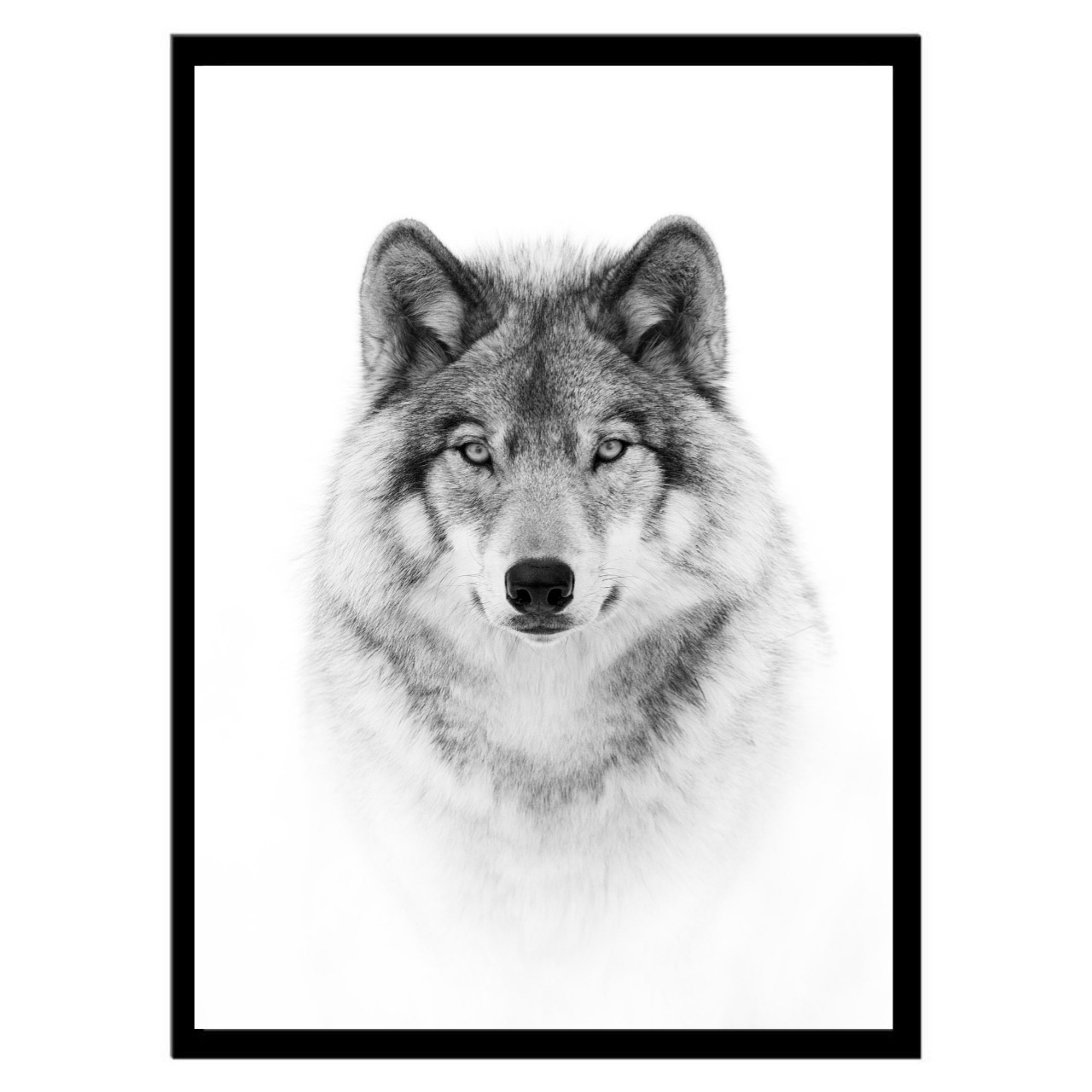 تابلو عکس سیاه و سفید کد 3025