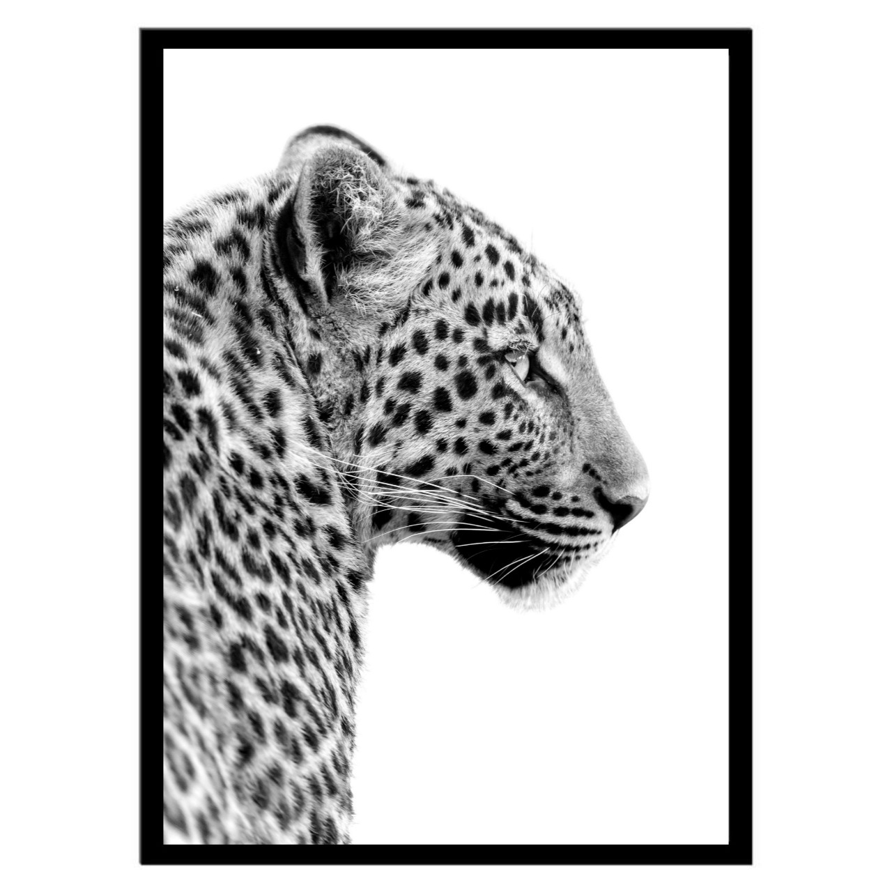  تابلو عکس سیاه و سفید کد 3014 