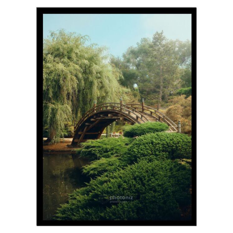 تابلو عکس منظره و طبیعت کد 2562