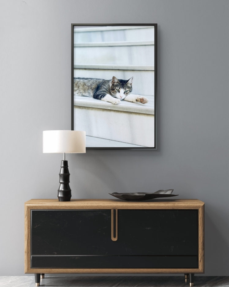 تابلو عکس جانوران کد 2828