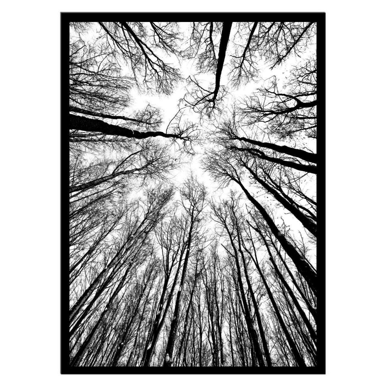  تابلو عکس سیاه و سفید کد 3026 