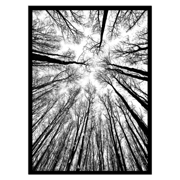 تابلو عکس سیاه و سفید کد 3026