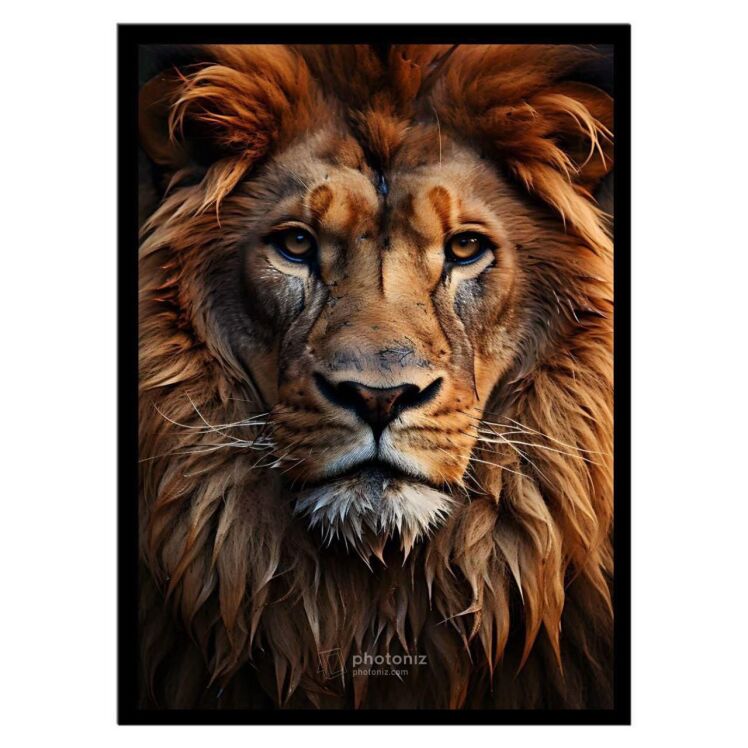 تابلو عکس جانوران کد 2467