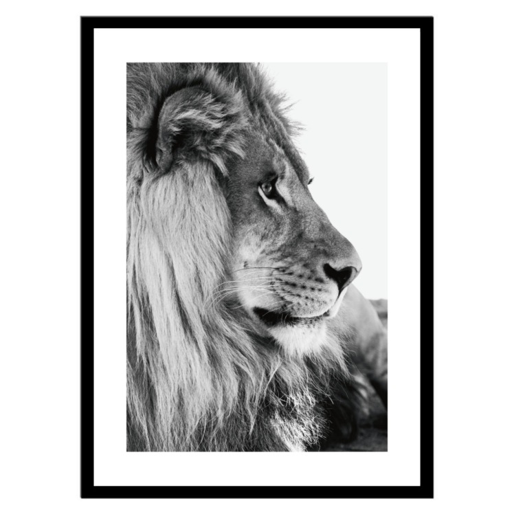 تابلو عکس سیاه و سفید کد 3033