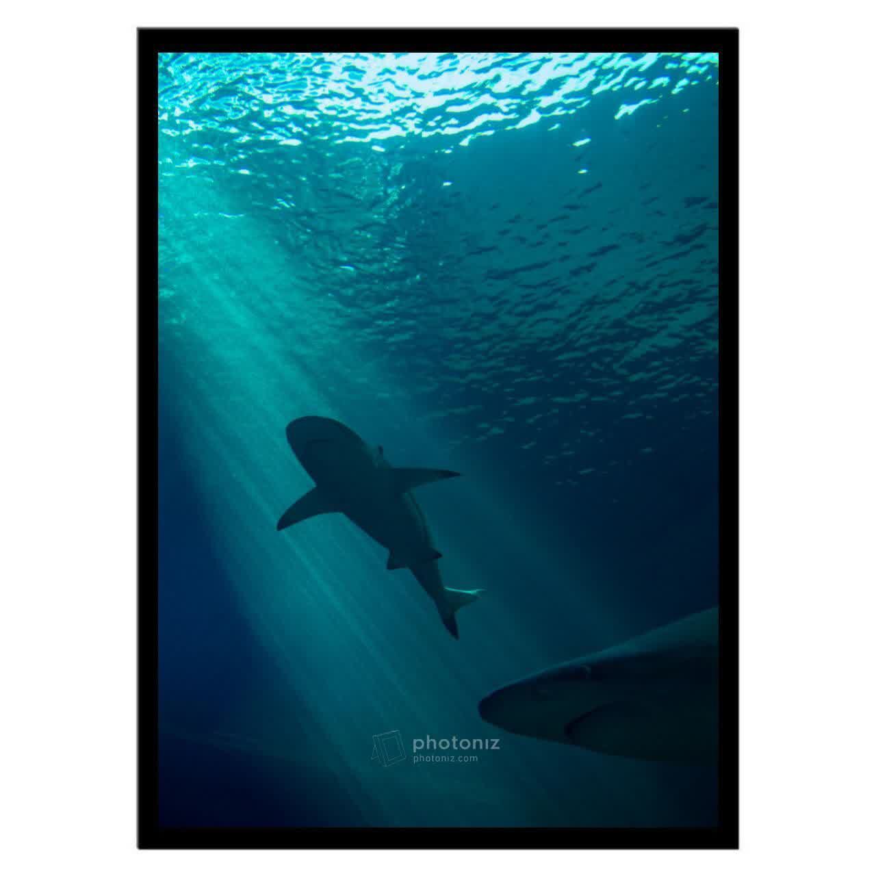  تابلو عکس جانوران کد 2621 