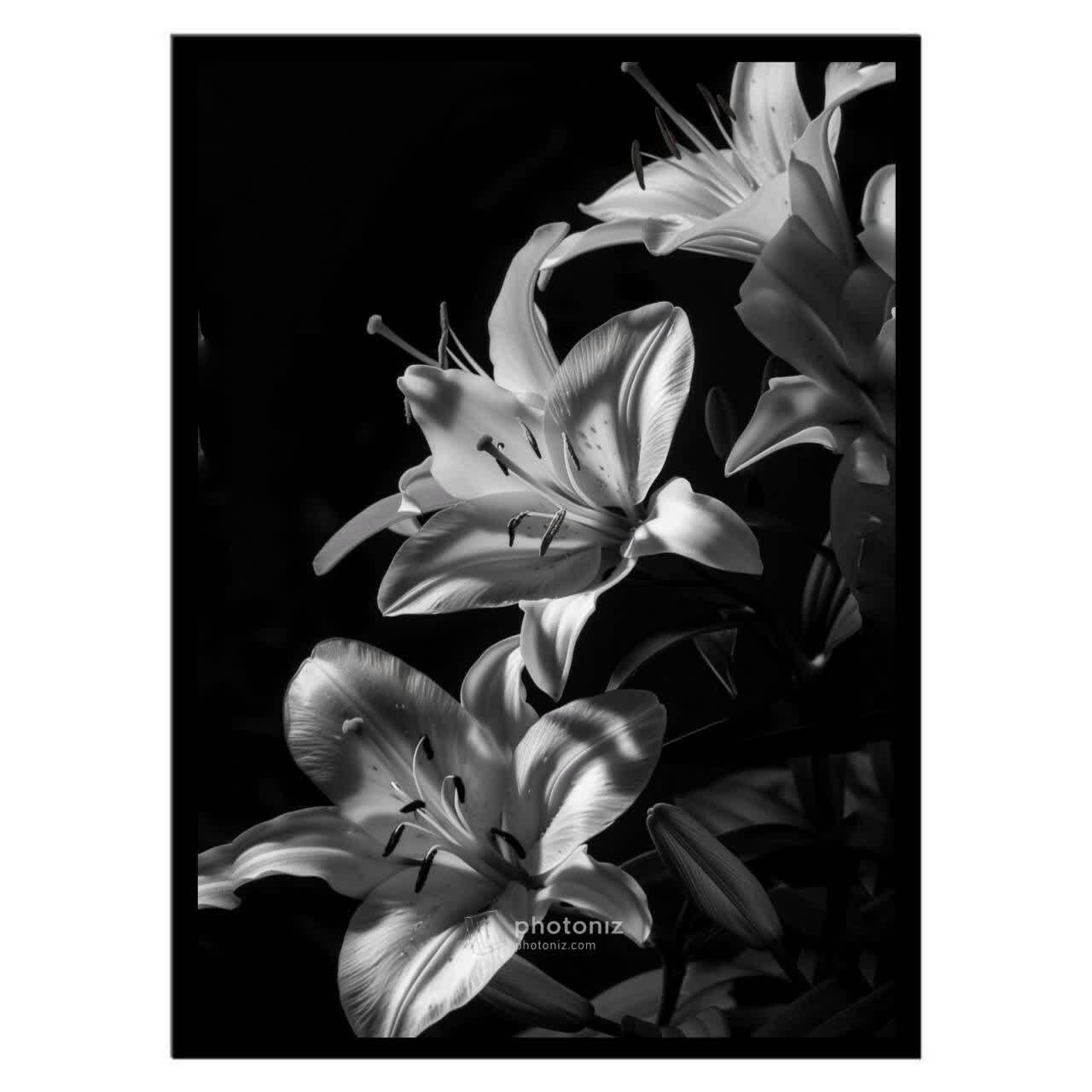  تابلو عکس گل و گیاه کد 2818 