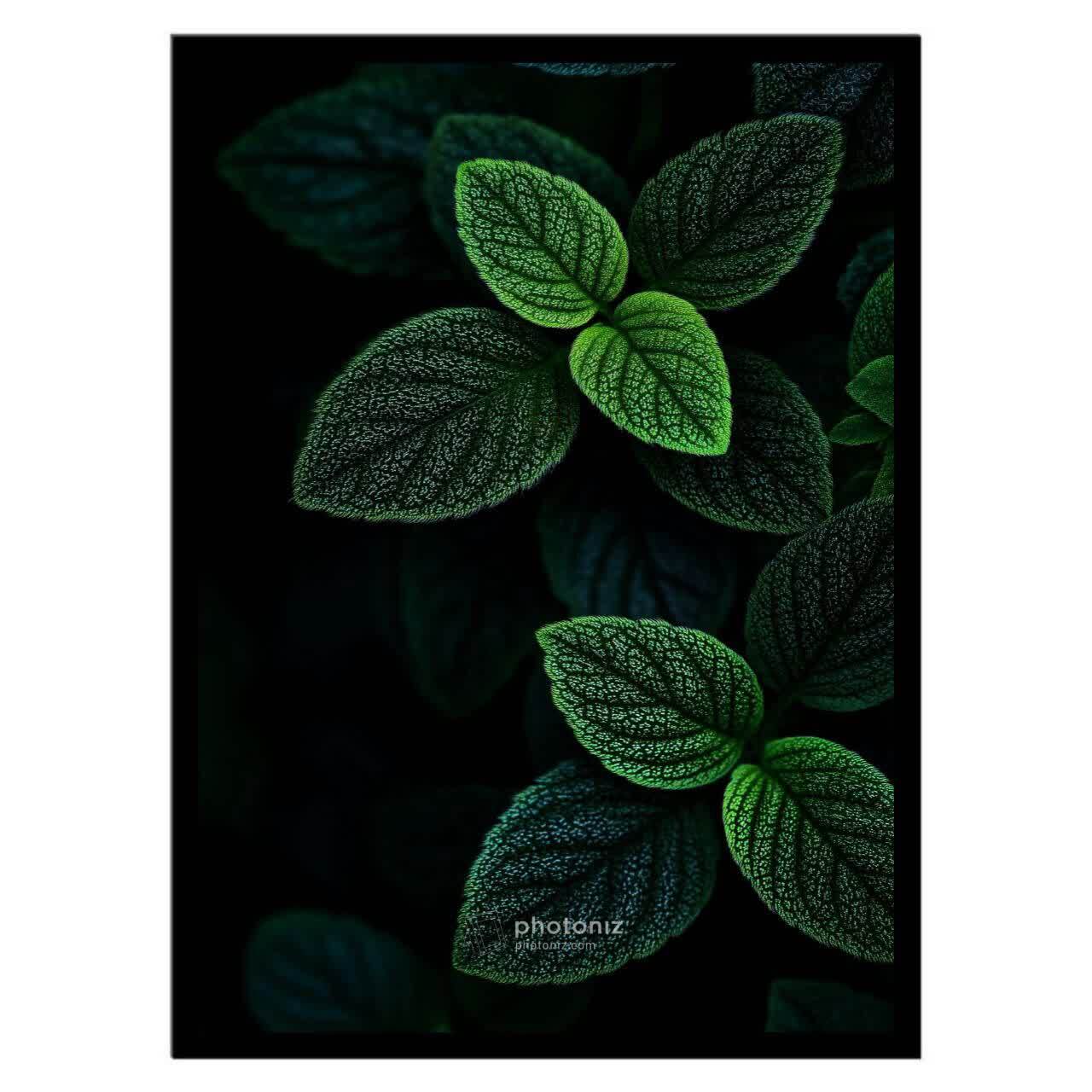  تابلو عکس گل و گیاه کد 2815 