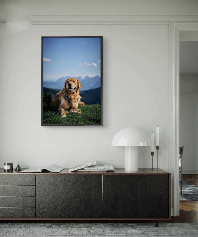 تابلو عکس جانوران کد 2834