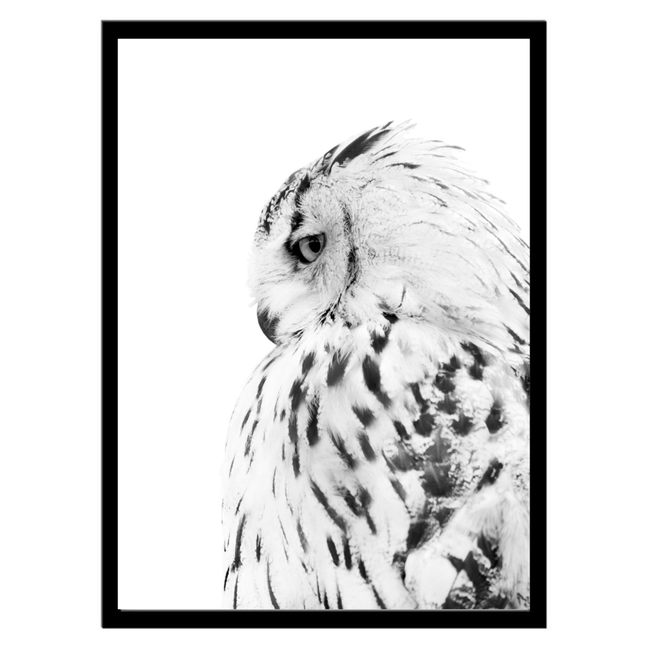  تابلو عکس سیاه و سفید کد 3022 