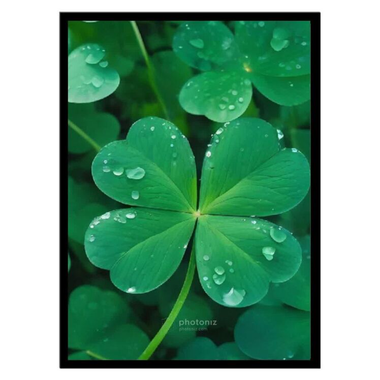 تابلو عکس گل و گیاه کد 2501