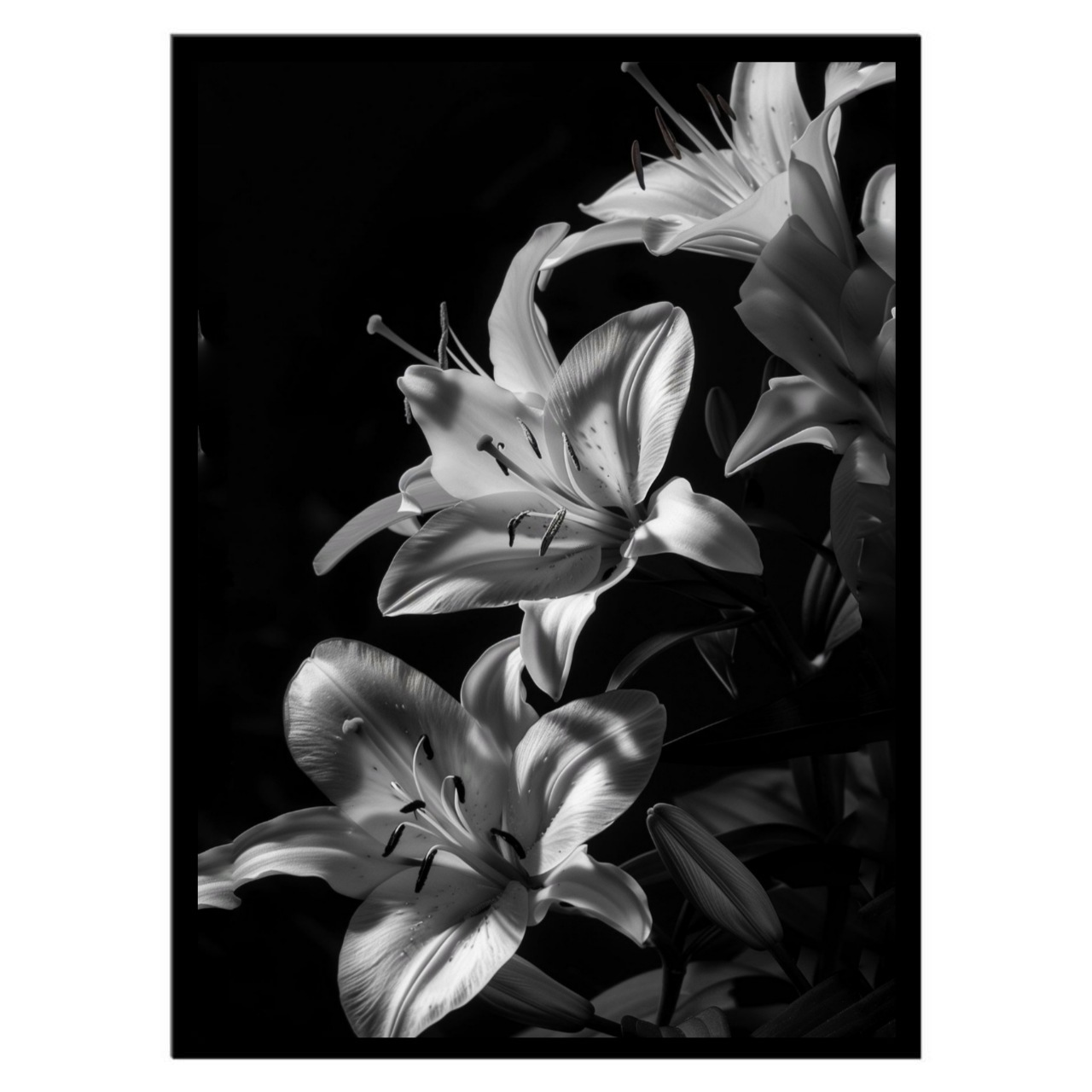  تابلو عکس گل و گیاه کد 2818 