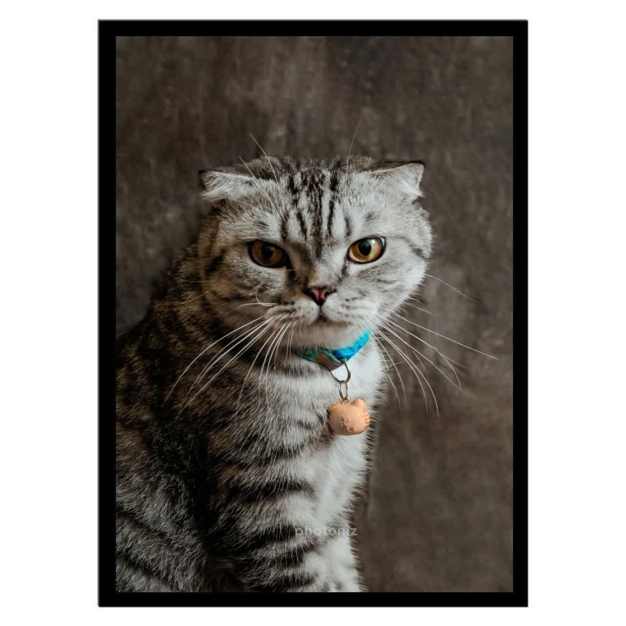 تابلو عکس جانوران کد 2620