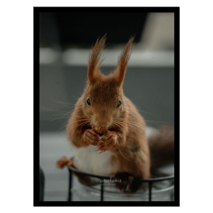 تابلو عکس جانوران کد 2623