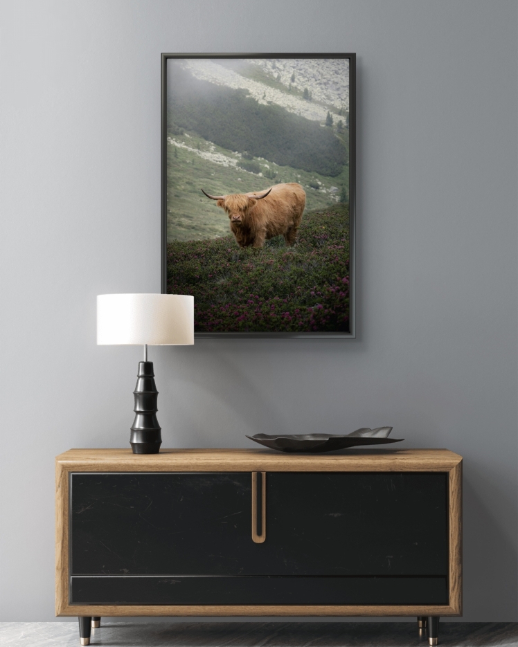 تابلو عکس جانوران کد 2831