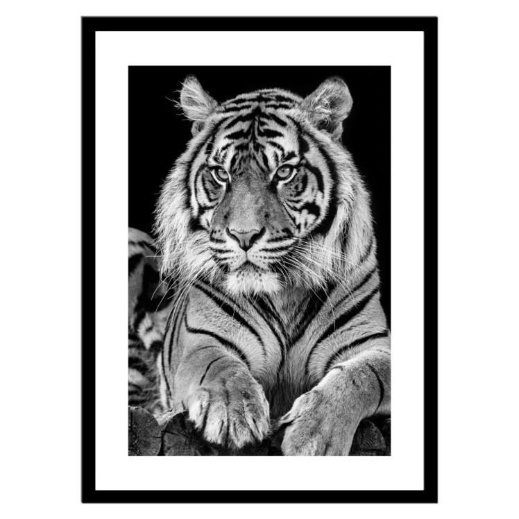 تابلو عکس سیاه و سفید کد 3039