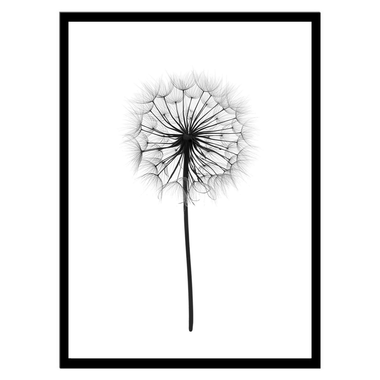  تابلو عکس سیاه و سفید کد 3034 